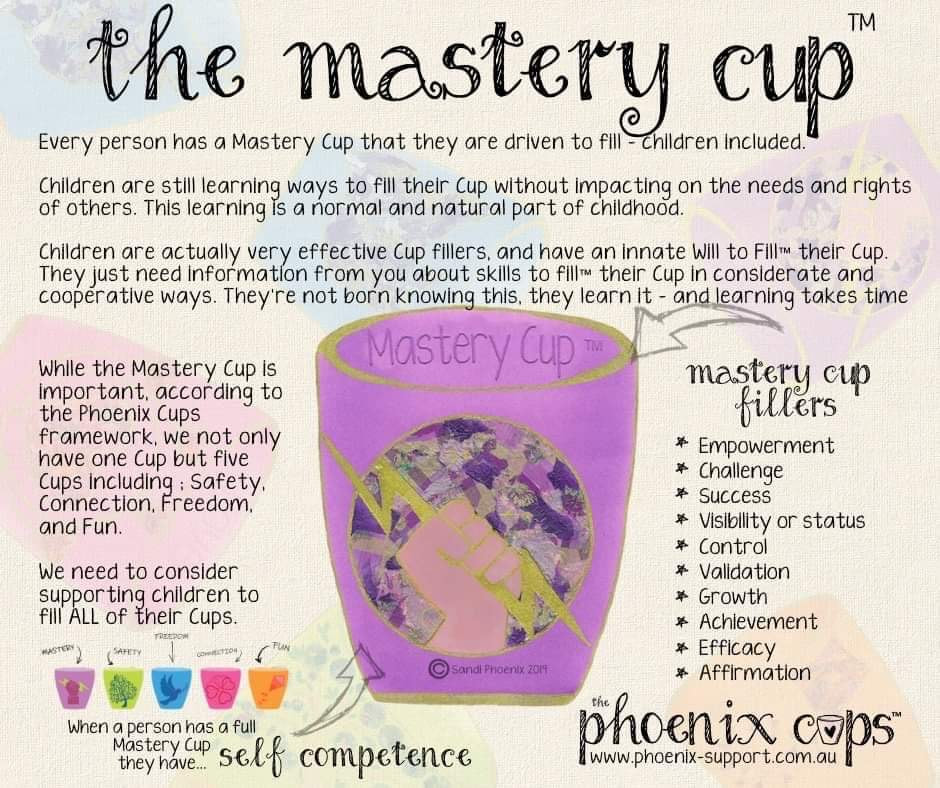 Phoenix Cups  Phoenix Support For Educators